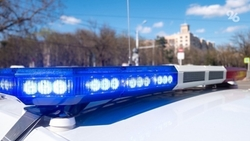 Задержанный на границе автобус с 580 кг взрывчатки ехал в Пятигорск