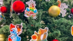 Пятигорчан и гостей курорта приглашают посмотреть фильмы под открытым небом 31 декабря