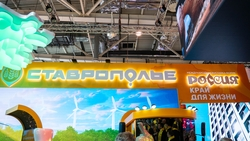 Политолог похвалил муз и аграрную экспозицию на стенде Ставрополья на ВДНХ