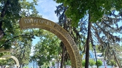 Сильный ветер порывами до 11 м/с будет в Пятигорске 29 июля