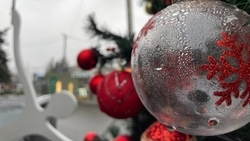 Пришёл декабрь, да без снега: первый зимний фоторепортаж из Пятигорска