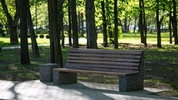 Скамейки меняют благодаря курортному сбору в Пятигорске 