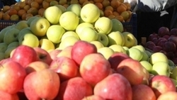 Весеннюю ярмарку проведут в Пятигорске 23 марта