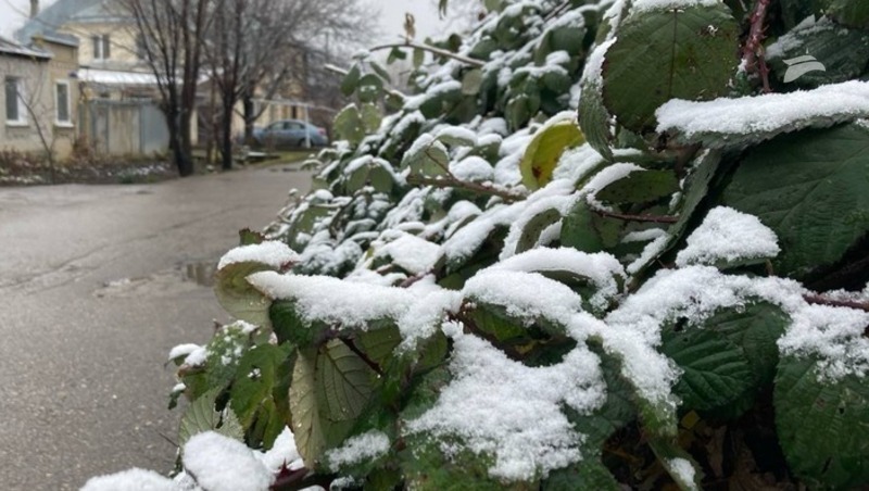 Снег и дождь ожидается в Пятигорске 16 декабря