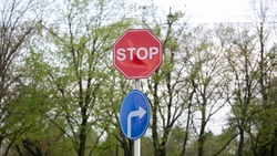 Улицу 295-й Стрелковой Дивизии перекрыли с 17 по 18 апреля в Пятигорске 