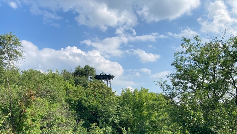 «Алису в стране чудес» и драму «Полёты во сне и наяву» покажут в Пятигорске