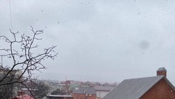 Небольшой дождь со снегом ожидает Пятигорск 8 марта