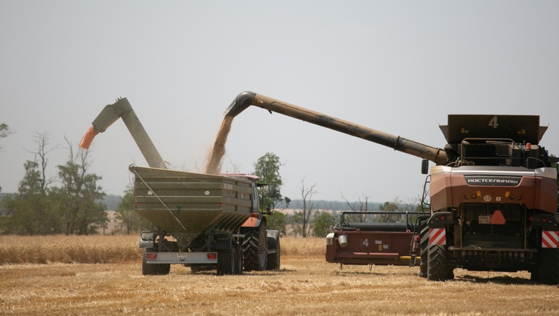 На поддержку аграриев направят 4,8 млрд рублей — губернатор Ставрополья