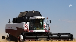 Овощи открытого грунта убирают на Ставрополье