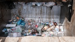 Жители Ставрополья заинтересованы в раздельном накоплении отходов
