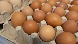 Яйца и лук подорожали на 5,3% за неделю в Ставропольском крае