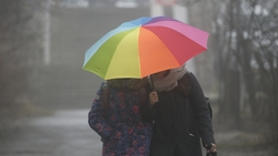 Туман, дождь и снег могут осложнить движение автомобилей на Ставрополье 7 марта