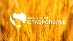 Товары «Сделано на Ставрополье» появились на крупных маркетплейсах