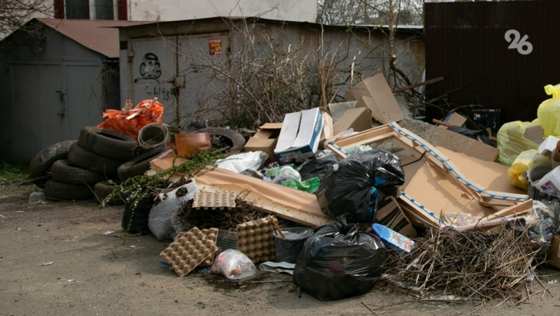 Более 20 пакетов мусора убрали волонтёры в городе Лермонтове