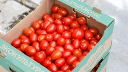 Экспорт Ставропольской продукции в Китай увеличился в 1,4 раза