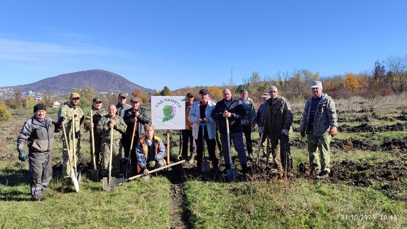 Лесники Ставрополья высадили 1,7 тыс. саженцев клёна и ясеня в ходе акции