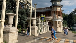 Жители Пятигорска узнали, какие фильмы покажут в летнем кинотеатре с 26 сентября по 1 октября