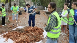 Более 280 тыс. человек участвуют в волонтёрской деятельности на Ставрополье