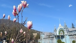 Власти Ставрополья разработали инвестиционную карту региона