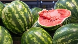 Арбузный фестиваль пройдёт на Ставрополье с 11 по 13 августа