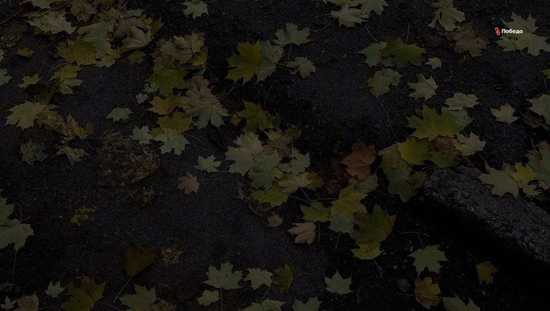 Как правильно утилизировать опавшую листву в Пятигорске