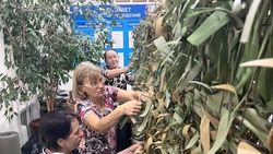 Жительницы посёлка Горячеводский плетут маскировочные сети для бойцов СВО 