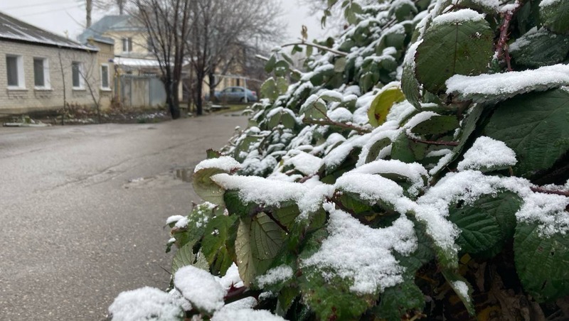 Дождь со снегом и ветром ожидают Пятигорск 8 декабря