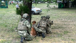 Показательные выступления кинологической службы прошли в Пятигорске