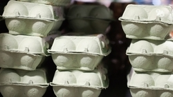 Продовольственная ярмарка состоится в Пятигорске 22 июня