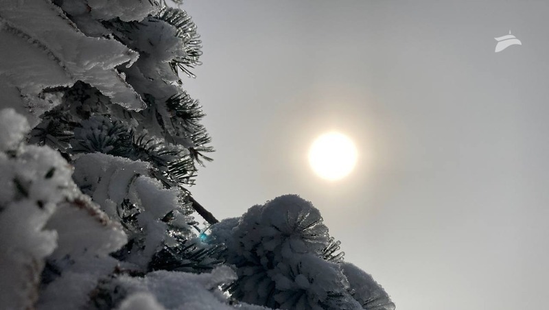 Зимняя сказка: где сфотографировать заснеженные пейзажи в Пятигорске
