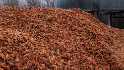 Производство пеллетов из кукурузной кочерыжки запустили в Ставрополье