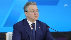 Губернатор Ставрополья поручил готовиться к паводкам после снегопада
