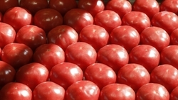 Более 17 тыс. ярмарок прошли с начала 2025 года в Ставропольском крае 