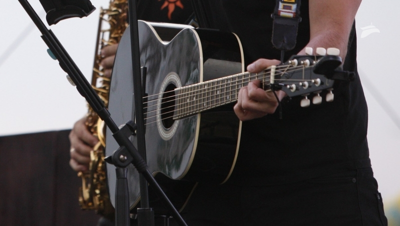 «Мастерская гитарного искусства» прошла в Пятигорске 