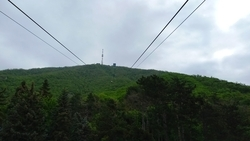 Школьники и студенты стали участниками деловой игры на Ставрополье 