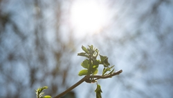 Ясную погоду прогнозируют в Пятигорске 5 марта