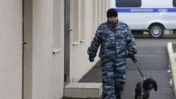 Школу в Пятигорске эвакуировали из-за сообщения о минировании