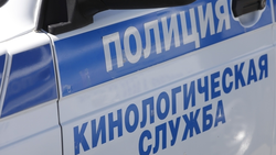 Минирование школы №1 в Лермонтове оказалось ложным