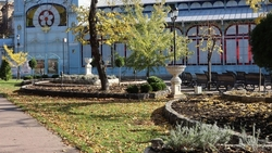 Пятигорчан приглашают принять участие в конкурсе ко Дню матери