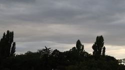 Небольшой снег ожидается в Пятигорске 5 февраля