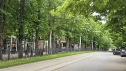 В Пятигорске участок проспекта Кирова будет перекрыт по вечерам в выходные