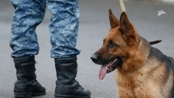 Глава Ставрополья: Возле пятигорского детсада нашли гранату