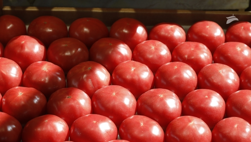 Цена на помидоры стала ниже на 24% на Ставрополье 