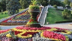 Турналог за полгода на Ставрополье превысил плановые показатели