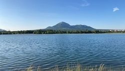 Рыба в Новопятигорском озере погибла из-за неочищенных сточных вод — прокуратура Ставрополья