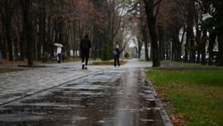 Штормовое предупреждение из-за заморозков продлили до 17 апреля на Ставрополье