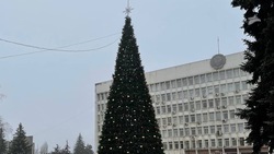 Жители Пятигорска смогут принять участие в украшении новогодней ёлки