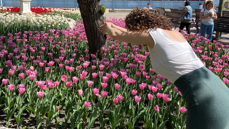 Памятка: как правильно фотографироваться с тюльпанами в пятигорском Цветнике