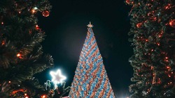 Благотворительные новогодние ёлки пройдут для детей участников СВО в Ставропольском крае