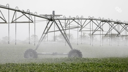 Оросительная система площадью более 900 га появится на Ставрополье